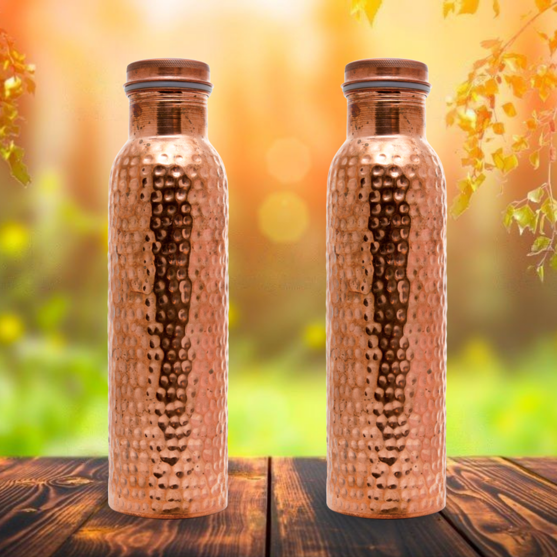 set of 2 Pure copper water bottle in usa